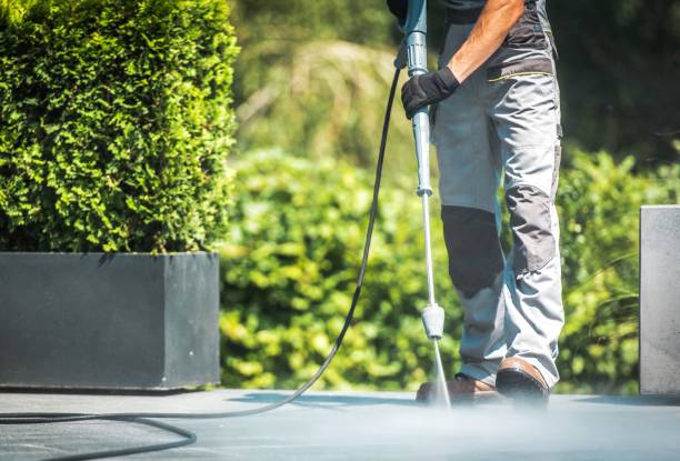 Best Warehouse Cleaning  in Rosewood Heights, IL