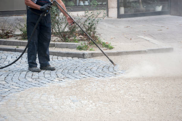 Best Animal Enclosure Cleaning  in Rosewood Heights, IL