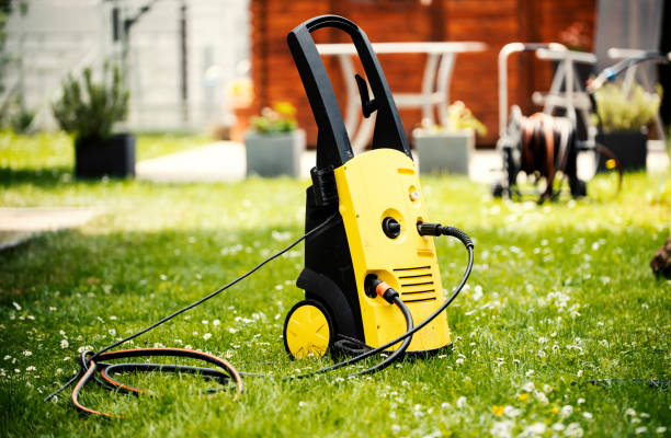 Best Rust Removal  in Rosewood Heights, IL